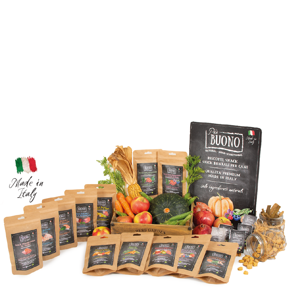 Biscotti Bio ''Buono'' Vegetali - Farm Company