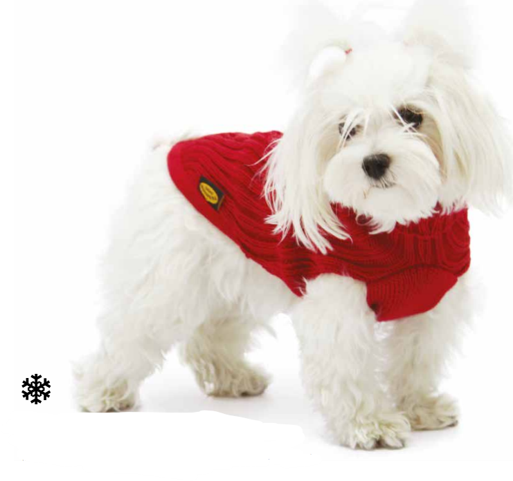 Maglione Treccia - Fashion Dog