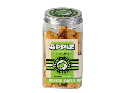 Snack Fruit Freeze Dried - Kiwi Walker