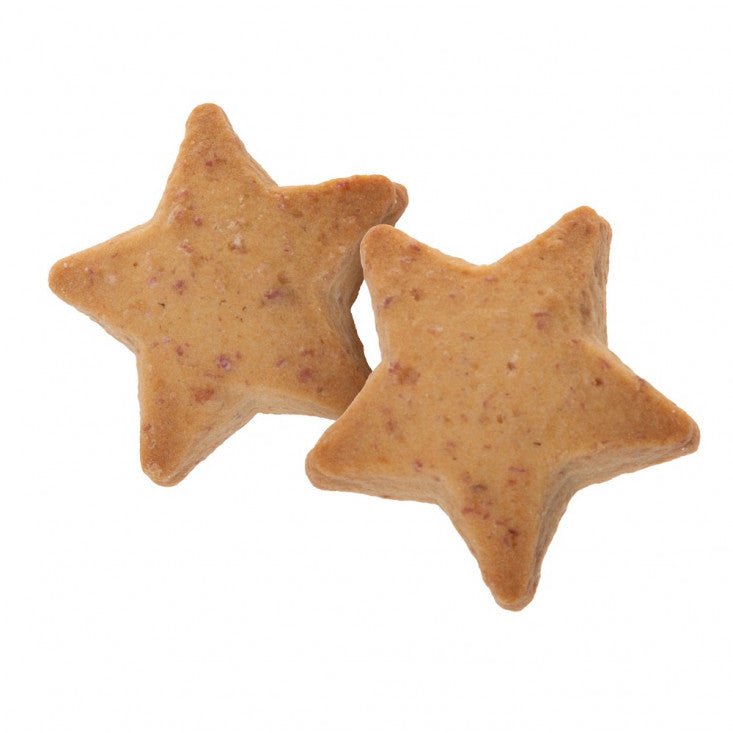 Biscotti di Natale "Vanilla Stars" - Doggyebag