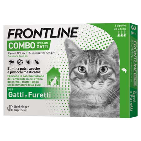 Frontline Combo Gatto